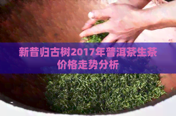 新昔归古树2017年普洱茶生茶价格走势分析