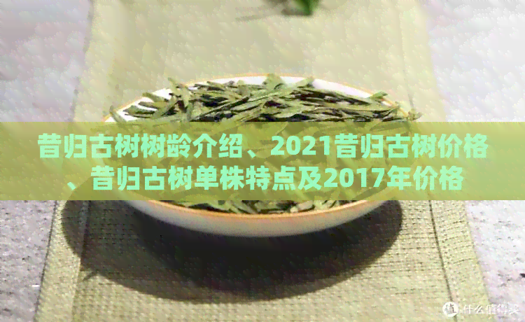 昔归古树树龄介绍、2021昔归古树价格、昔归古树单株特点及2017年价格