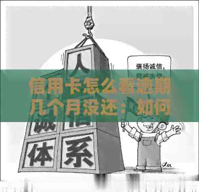 信用卡怎么看逾期几个月没还：如何查询信用卡逾期还款时间及月份？