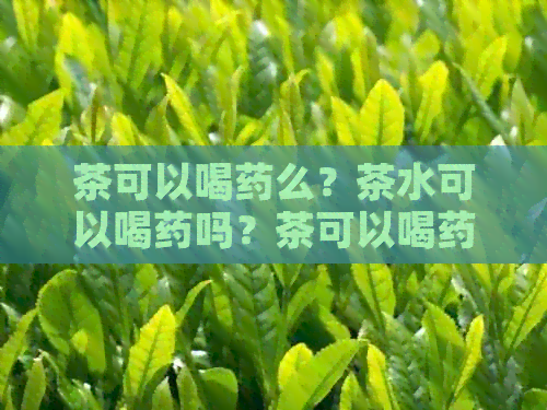 茶可以喝药么？茶水可以喝药吗？茶可以喝药嘛？