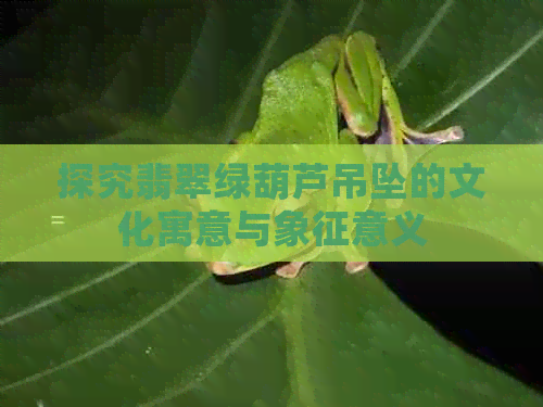 探究翡翠绿葫芦吊坠的文化寓意与象征意义