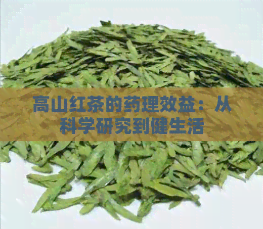 高山红茶的药理效益：从科学研究到健生活