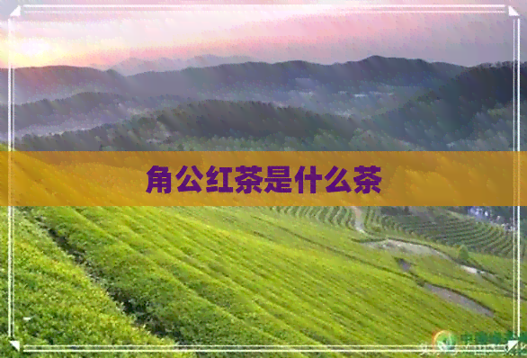 角公红茶是什么茶