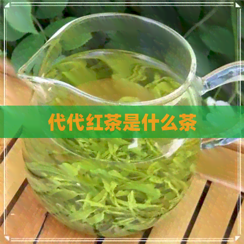 代代红茶是什么茶