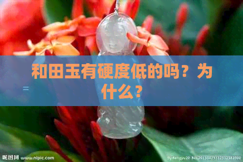 和田玉有硬度低的吗？为什么？