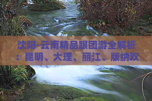 沈阳-云南精品跟团游全解析：昆明、大理、丽江、版纳双飞六日游仅需XX元