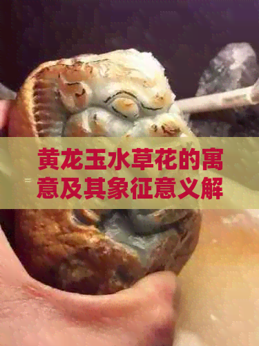 黄龙玉水草花的寓意及其象征意义解析