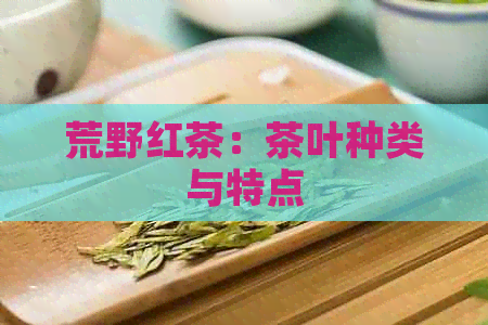 荒野红茶：茶叶种类与特点