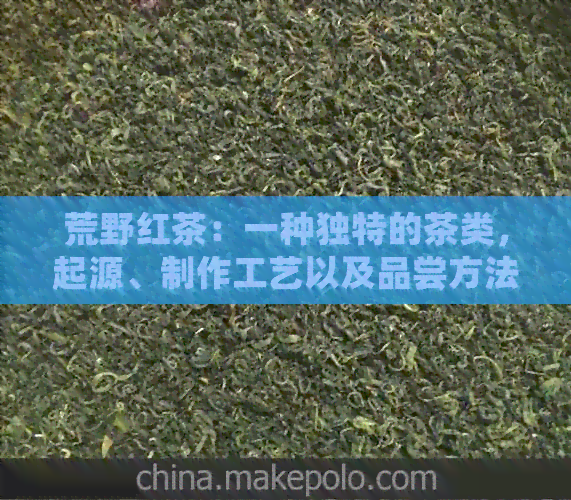 荒野红茶：一种独特的茶类，起源、制作工艺以及品尝方法的全面解析