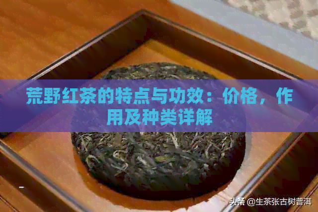 荒野红茶的特点与功效：价格，作用及种类详解