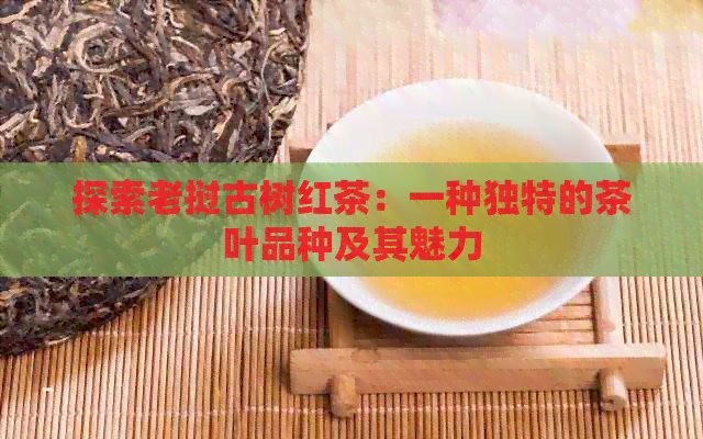 探索老挝古树红茶：一种独特的茶叶品种及其魅力