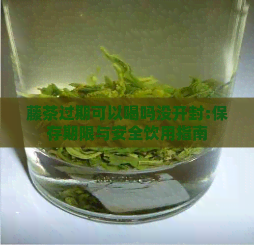 藤茶过期可以喝吗没开封:保存期限与安全饮用指南