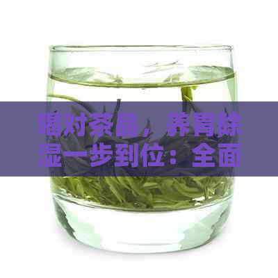 喝对茶品，养胃除湿一步到位：全面解析适合养胃除湿的茶类及饮用方法