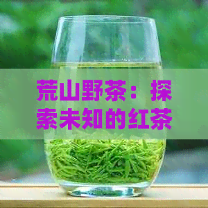 荒山野茶：探索未知的红茶世界