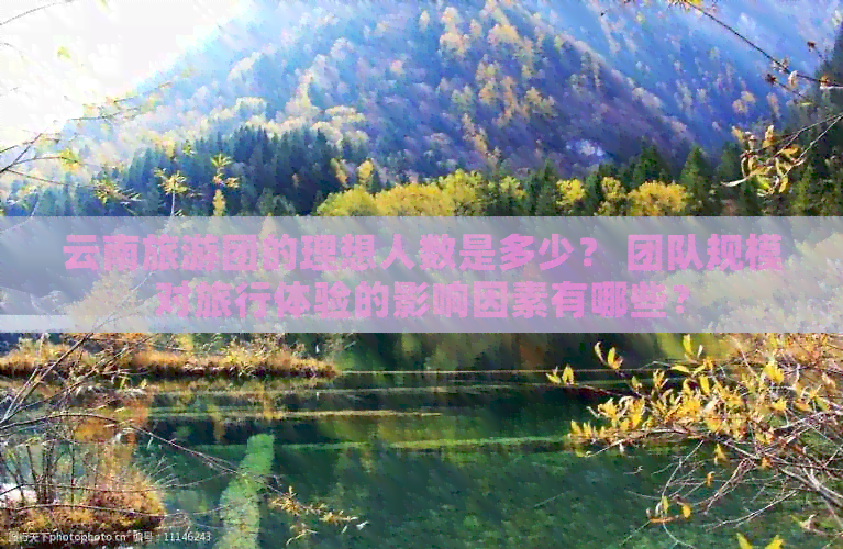 云南旅游团的理想人数是多少？ 团队规模对旅行体验的影响因素有哪些？