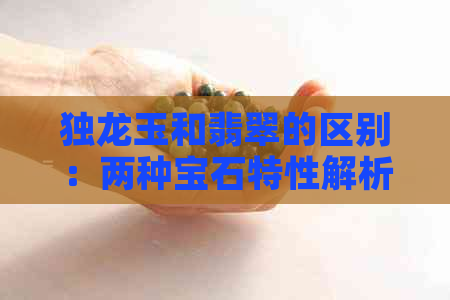 独龙玉和翡翠的区别：两种宝石特性解析