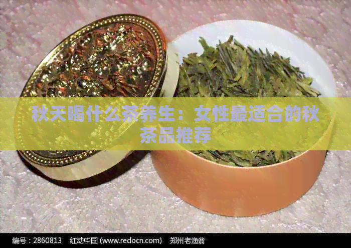 秋天喝什么茶养生：女性最适合的秋茶品推荐