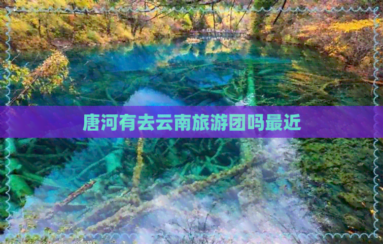 唐河有去云南旅游团吗最近