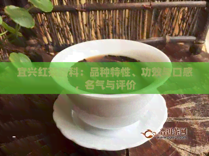 宜兴红茶百科：品种特性、功效与口感，名气与评价