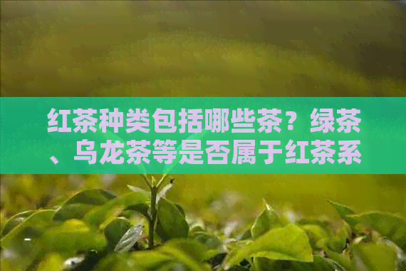 红茶种类包括哪些茶？绿茶、乌龙茶等是否属于红茶系列？