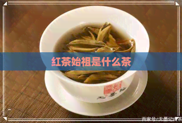 红茶始祖是什么茶