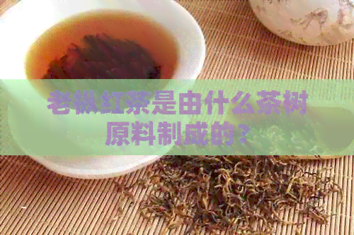 老枞红茶是由什么茶树原料制成的？