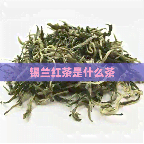 锡兰红茶是什么茶