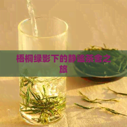 梧桐绿影下的静谧茶舍之旅