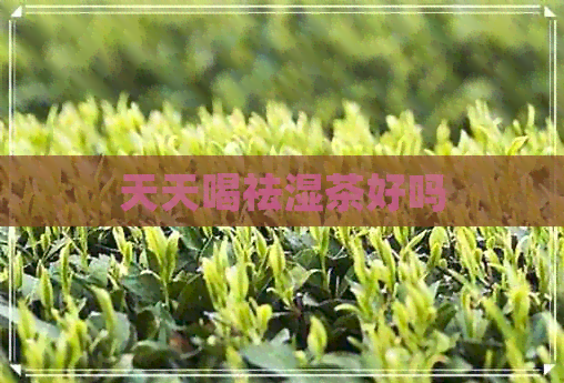 天天喝祛湿茶好吗