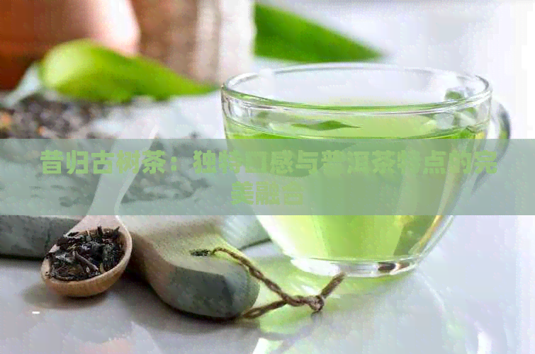 昔归古树茶：独特口感与普洱茶特点的完美融合