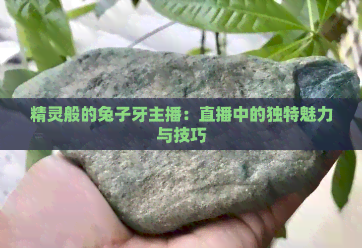 精灵般的兔子牙主播：直播中的独特魅力与技巧