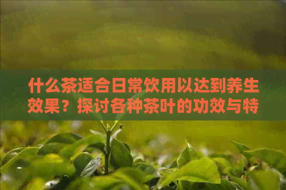 什么茶适合日常饮用以达到养生效果？探讨各种茶叶的功效与特点