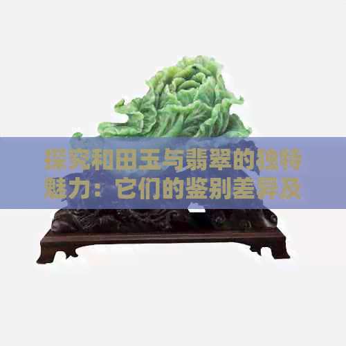 探究和田玉与翡翠的独特魅力：它们的鉴别差异及珍贵性解析-翡翠