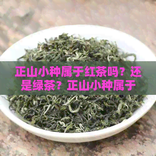 正山小种属于红茶吗？还是绿茶？正山小种属于什么档次？是红茶还是白茶？