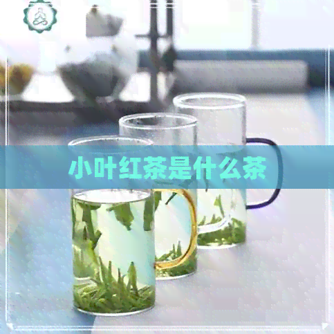 小叶红茶是什么茶