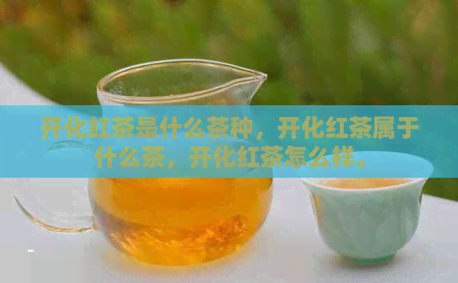 开化红茶是什么茶种，开化红茶属于什么茶，开化红茶怎么样。