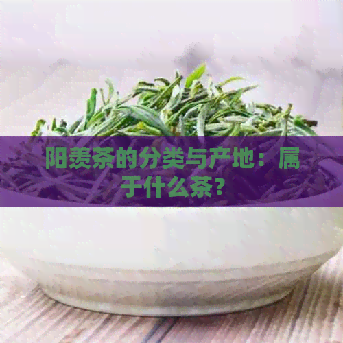 阳羡茶的分类与产地：属于什么茶？