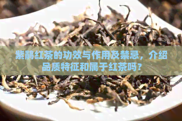 紫鹃红茶的功效与作用及禁忌，介绍品质特征和属于红茶吗？