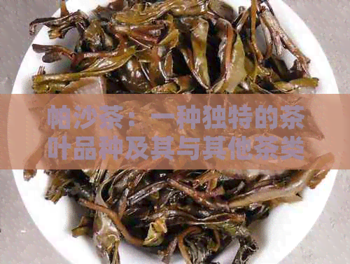 帕沙茶：一种独特的茶叶品种及其与其他茶类的区别