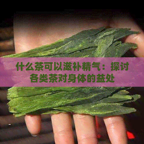 什么茶可以滋补精气：探讨各类茶对身体的益处