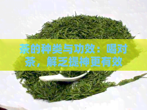 茶的种类与功效：喝对茶，解乏提神更有效