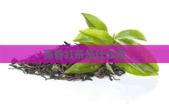 高香红茶是什么茶