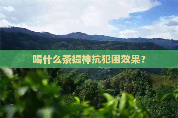 喝什么茶提神抗犯困效果？