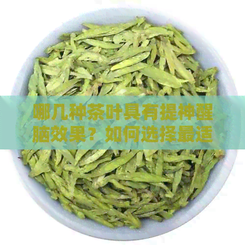 哪几种茶叶具有提神醒脑效果？如何选择最适合的茶来保持精力充沛？