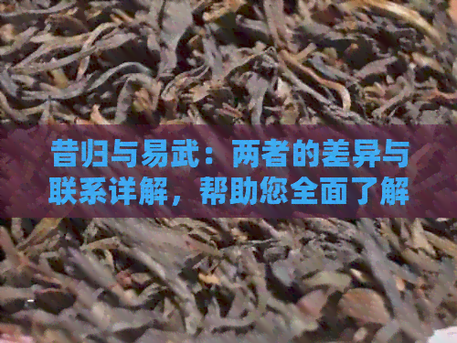 昔归与易武：两者的差异与联系详解，帮助您全面了解这两种茶叶