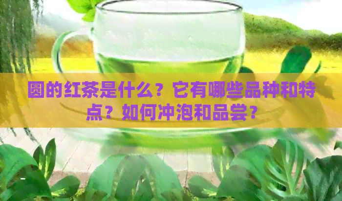 圆的红茶是什么？它有哪些品种和特点？如何冲泡和品尝？