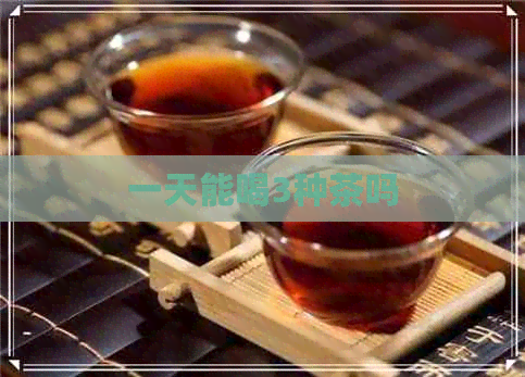 一天能喝3种茶吗