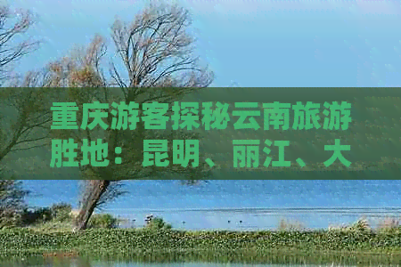 重庆游客探秘云南旅游胜地：昆明、丽江、大理和西双版纳的超值一日游费用