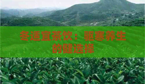 冬适宜茶饮：驱寒养生的健选择