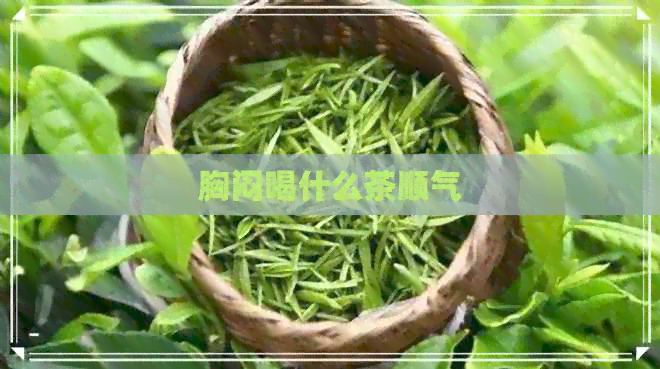 胸闷喝什么茶顺气